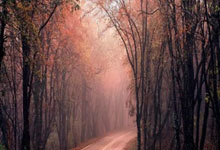 天涯社区改昵称攻略！手把手教你轻松改名